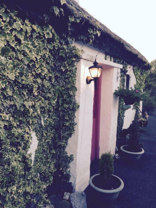 Teresas Cottage Donegal Town Bagian luar foto