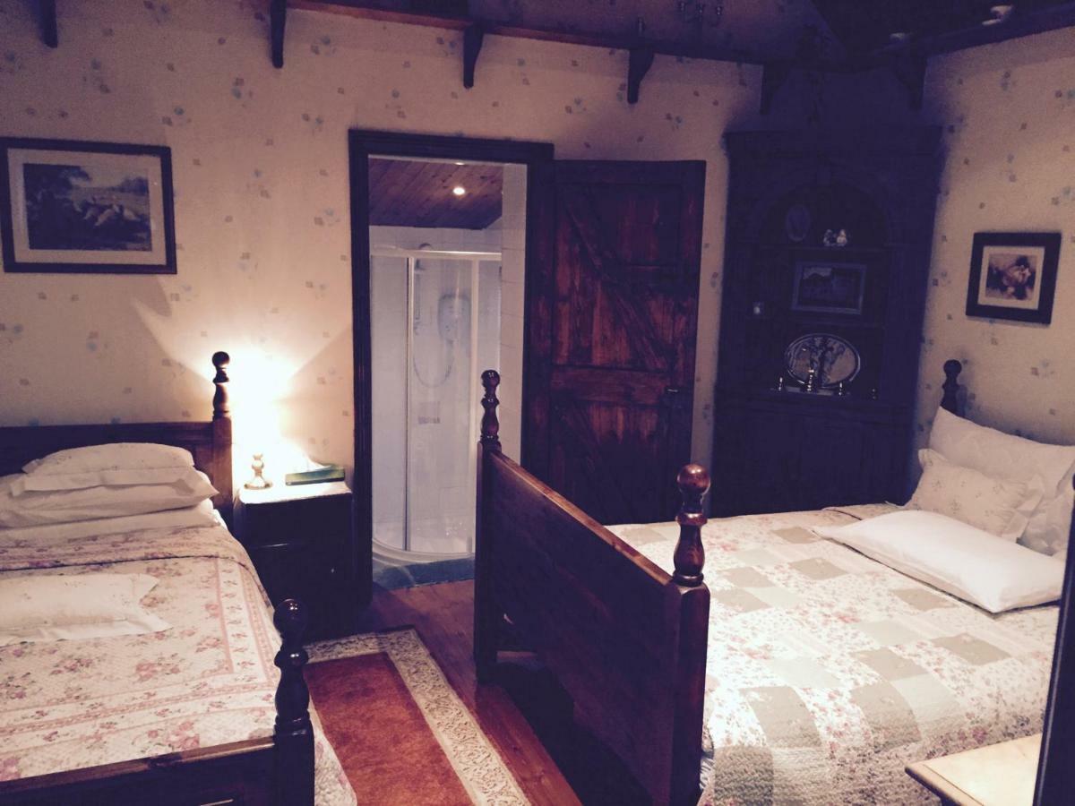 Teresas Cottage Donegal Town Bagian luar foto