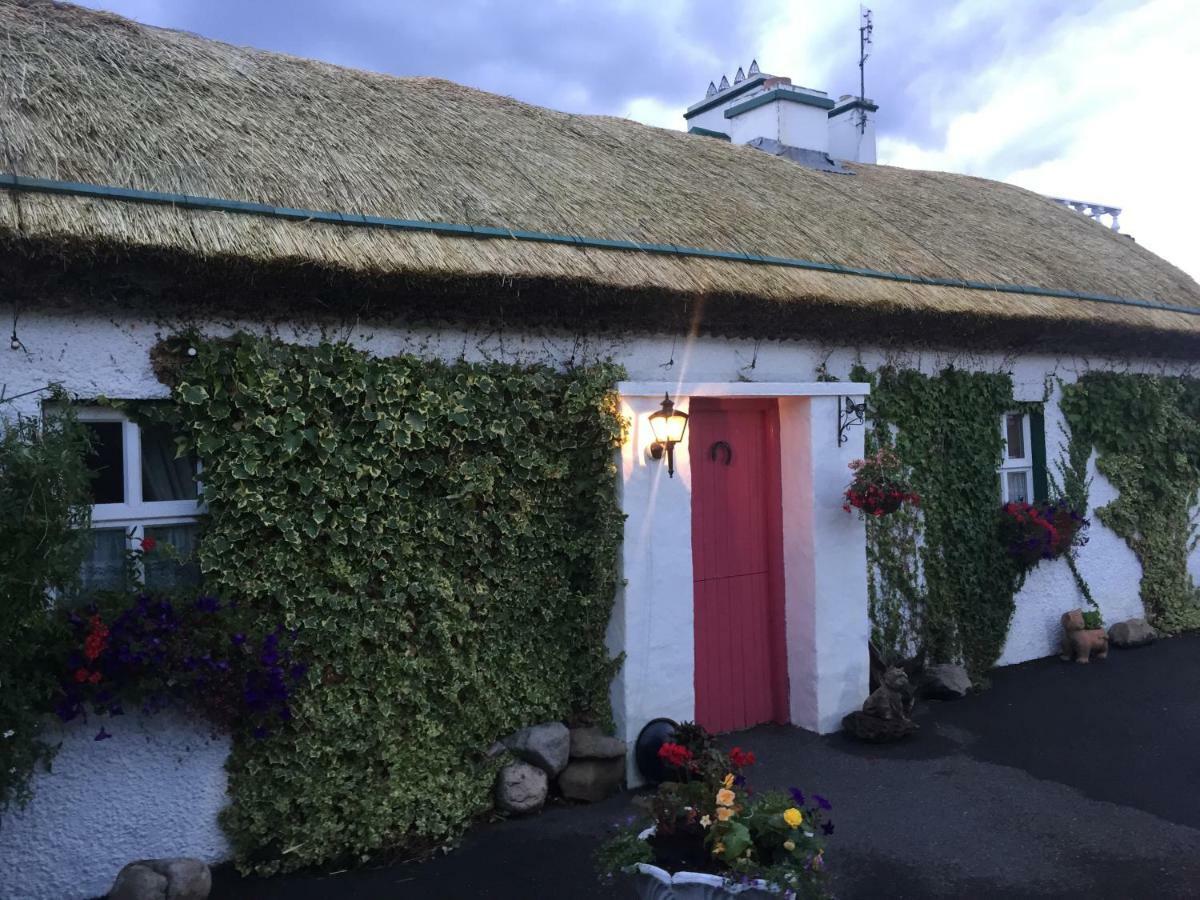 Teresas Cottage Donegal Town Bagian luar foto